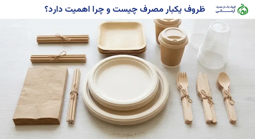 ظروف یکبار مصرف چیست و چرا اهمیت دارد؟