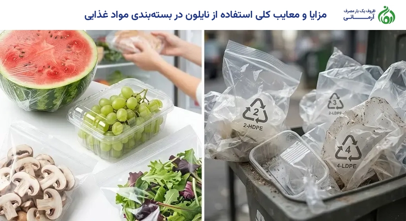 مزایا و معایب کلی استفاده از نایلون در بسته‌بندی مواد غذایی