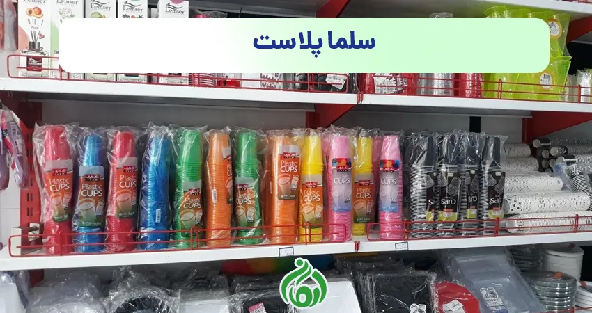 ظروف یکبار مصرف سلما پلاست