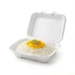 disposable-rice-tableware-1_136807373