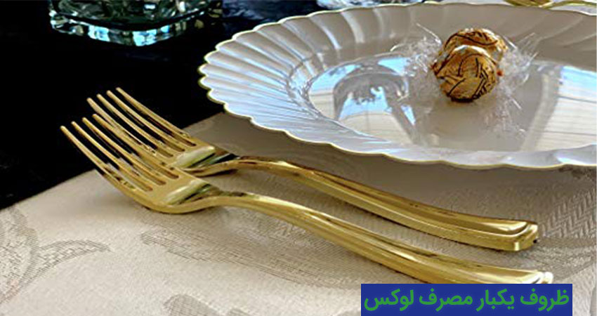 ظروف پذیرایی لاکچری یکبار مصرف موارد استفاده