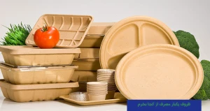 ظروف یکبار مصرف از کجا بخرم