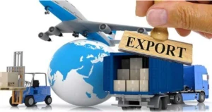 صادرات ظروف یکبار مصرف