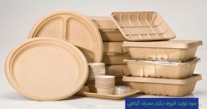 سود تولید ظروف یکبار مصرف گیاهی