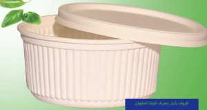 ظروف یکبار مصرف انوشا اصفهان