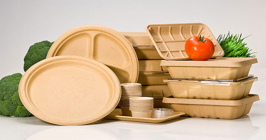 پخش عمده ظروف گیاهی