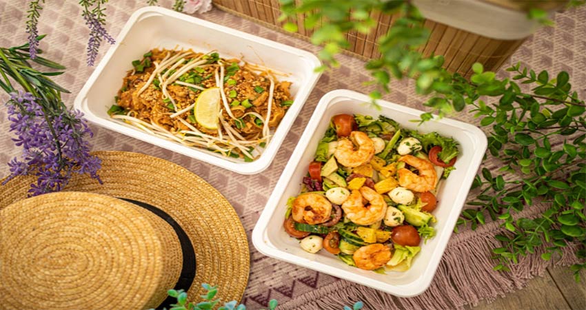 مزایای پخش عمده ظروف گیاهی